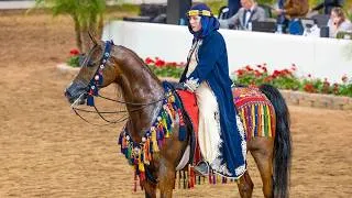 Thumbnail: Half Arabian Horse Mounted Native Costume Championship