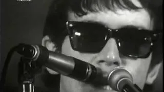 Thumbnail: The Animals - We Gotta Get Out Of This Place (Live, 1965) ♫♥