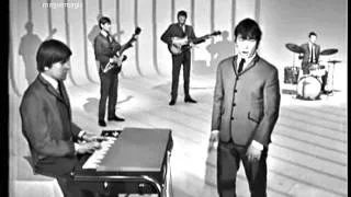 Thumbnail: The Animals - House of the Rising Sun (clip, 1964) ♥♫