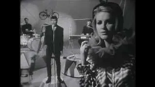 Thumbnail: The Animals - Bring It On Home To Me (Live, 1965) UPGRADE ♫♥