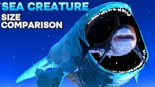 Thumbnail: The Biggest Deep Sea Creatures Size Comparison