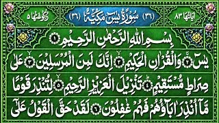 Thumbnail: Surah Yaseen Surah Ar Rahman || Best Quran Recitation || Surah Yasin || Yaseen Tilawat Wazifa Ep-001
