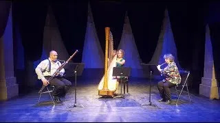 Thumbnail: Sinfonia in D minor no. 22 - Alessandro Stradella - Flute, Bassoon & Harp Trio