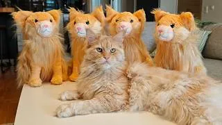 Thumbnail: Buster and the Plushie Invasion!