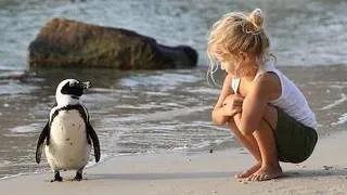 Thumbnail: Baby and Animal Talk Like Best Friends ❤️ Funniest Animal Videos!