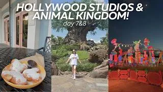 Thumbnail: WALT DISNEY WORLD VLOG ✨🐭 HOLLYWOOD STUDIOS & ANIMAL KINGDOM
