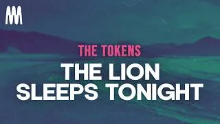 Thumbnail: The Tokens - The Lion Sleeps Tonight (Letra/Lyrics)