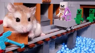 Thumbnail: Pet HAMSTER vs MONSTERS & ROBOTS - Major Hamster is Kung Fu master!