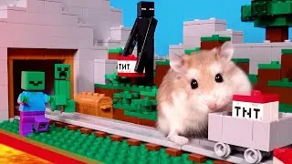 Thumbnail: Major Hamster is MINECRAFT MASTER - Real pet hamster in Minecraft world