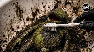 Thumbnail: Satisfying ASMR | Deep Cleaning a Filthy Green Frog Plushie 🐸🧼