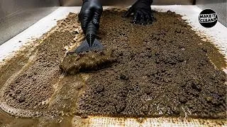 Thumbnail: rug cleaning carpet satisfying asmr | Deep Cleaning the Dirtiest Flower Rug
