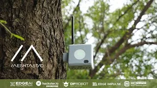 Thumbnail: Forest Guard | LoRa IoT Project #DFRobot #EdgeImpulse #Meshtastic