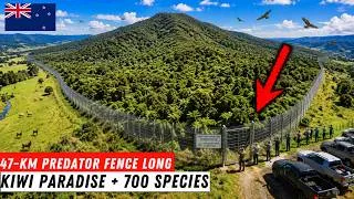 Thumbnail: Biologists Said This Mountain Was Dead — Then One Farmer's 47-Km Fence Brought Back 700 Species