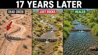 Thumbnail: Everyone Said Rocks Can't Heal Rivers — Then Oregon Fined Him Because They Did