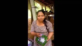 Thumbnail: Purple Yam | දන්දිල අල| Village life - Mali cooking