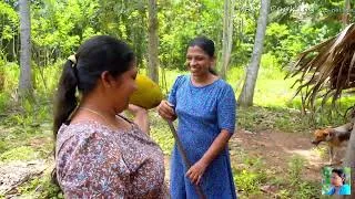 Thumbnail: Green Jackfruit Curry Village Style| Traditional Sri Lankan Cooking - Mali