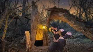 Thumbnail: Building a Secret Survival Shelter Inside a Giant Tree