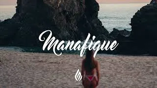Thumbnail: Palm Monkey, RUSSI & The Palm Tree Boy - AWGAZI (UNKOWN Remix)