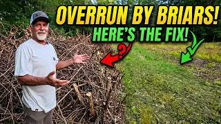Thumbnail: Dense Briars Ruined This Field—Here's What Tom Did To Fix It