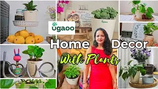 Thumbnail: Best Low Maintenance Indoor Plants for Home Decor | Ugaoo #homedecor #rented #homedecorationideas