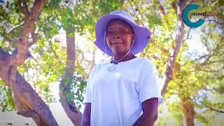 Thumbnail: Chief Chivero's court 🚨 MUJOLO! Munyai Anonzi Akapfimba Mukadzi Wemunhu Nekumubata Magaro? 😱 