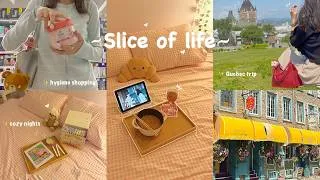 Thumbnail: Days in my life 🥐✨ hygiene shopping, trip to Quebec, chill days, cozy nights