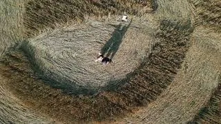 Thumbnail: We Found a REAL Crop Circle in England! | Nelly & Manfred Baumann