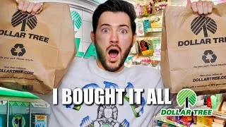 Thumbnail: I bought every piece of makeup from The Dollor Tree! (insane finds)