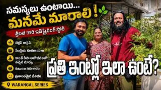 Thumbnail: శ్రీలత గారి జీవన ప్రయాణం | ఇంటిపైనే కూరగాయల తోట 🌱 | Terrace Garden Tour | Manogatham