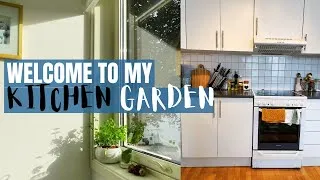 Thumbnail: MY KITCHEN GARDEN TOUR | NEW WORKSTATION AND HOME DECORS |ORGANIZING MY HOME SLOWLY