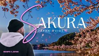 Thumbnail: Japan Cherry Blossom Guide (2027) | Everything You Need To Know!