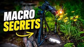 Thumbnail: How I Actually Shoot Macro Photography