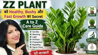 Thumbnail: 🌿 "ZZ PLANT" Ke Healthy ,Bushy Aur Fast Groth Ka Secret//A to Z Care Guide🍃