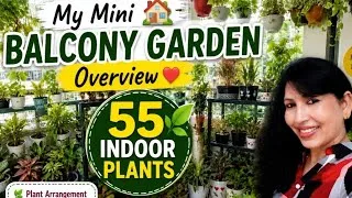 Thumbnail: 🌿My Mini Balcony garden Tour 🏡 +55 Beautiful Indoor Plants Collection's Setup #viral #gardeningideas