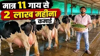 Thumbnail: उत्तरप्रदेश के ये किसान मात्र 11 गाय से 2 लाख महीना कमा रहे है | Dairy Farming |Small Dairy Business