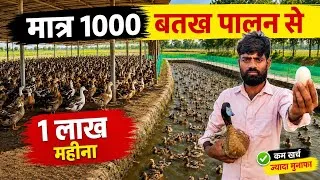 Thumbnail: 1000 बत्तख पालकर ₹1 लाख महीना! जानिए पूरा 🦆 Duck Farming Business