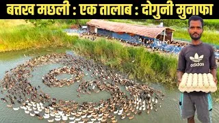 Thumbnail: एक तालाब में बत्तख और मछली से दोगुनी कमाई का मॉडल बना दी युवा किसान ने | Duck farming in india