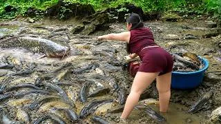 Thumbnail: Girl Uses a Mud Pump to Catch Hundreds of Giant Catfish & Carp!