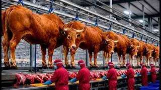 Thumbnail: Inside the Limousin Bull Factory | How Premium Horn & Leather Products Are Made