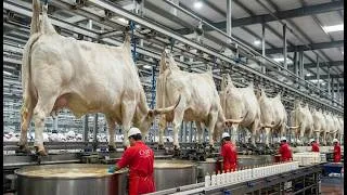 Thumbnail: Inside the Industrial Shampoo Factory | Full Manufacturing Process Explained