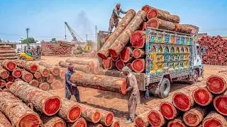 Thumbnail: Incredible Process Of Recycling Giant Wood Trees Into New World Cup Trophy