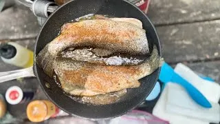 Thumbnail: Catch N' Cook - Cajun Rainbow and Brown Trout! Multiple catches at the Creek!