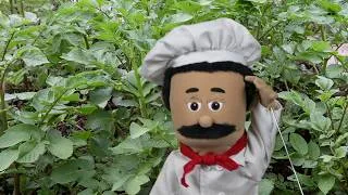 Thumbnail: Walking in the Garden | Easy Songs for Kids