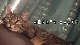 Thumbnail: What’s Next? - A Slight Update