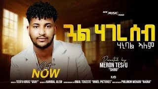 Thumbnail: Hanibal Alem-Gual  Hagereseb- New Eritrean Music 2026