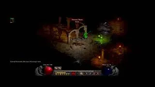 Thumbnail: [Diablo II: Resurrected – Infernal Edition] Purged the land of the shadow 02