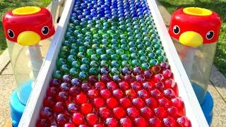 Thumbnail: Marble Run ☆ Colorful Marbles & 2 Birds