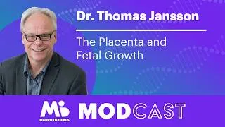 Thumbnail: Dr. Thomas Jansson on the Placenta and Fetal Growth