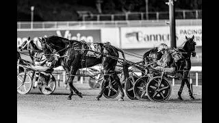 Thumbnail: 2026 Marathon Handicap SS Pace 3309M Gloucester Park WA: Luvbite (1:58:9)