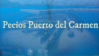 Thumbnail: Canary Islands, Lanzarote: day 1, Pecios Puerto del Carmen - 2018